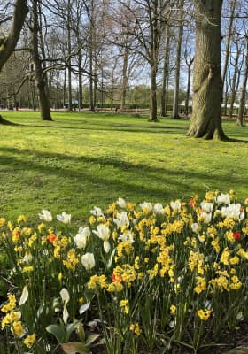 Photo 13 from Kasteel van Groot-Bijgaarden