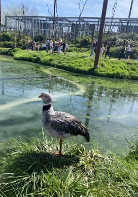 Photo 11 from Parrot World - Le parc animalier immersif