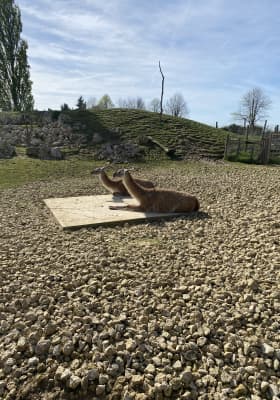Photo 10 from Parrot World - Le parc animalier immersif