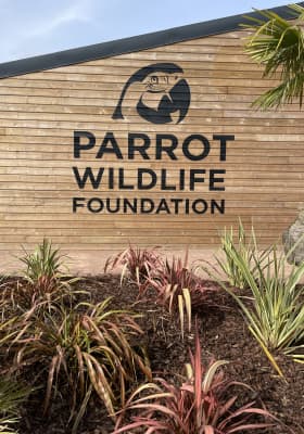 Photo 8 from Parrot World - Le parc animalier immersif