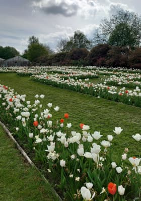 Photo 10 from Kasteel van Groot-Bijgaarden