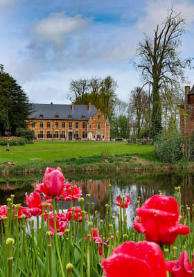 Photo 9 from Kasteel van Groot-Bijgaarden