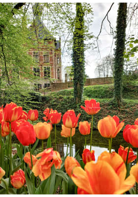 Photo 8 from Kasteel van Groot-Bijgaarden