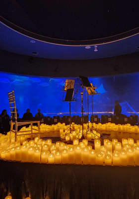 Photo 1 from Sea Life Melbourne Aquarium