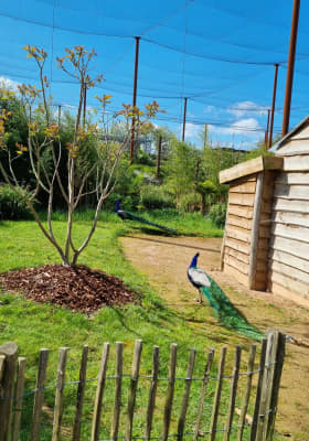 Photo 4 from Parrot World - Le parc animalier immersif