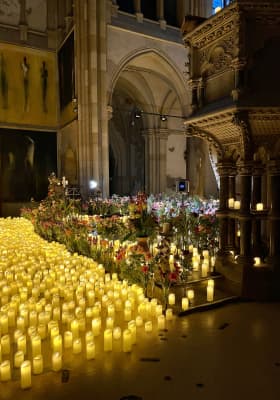 Photo 10 from Peterskirche