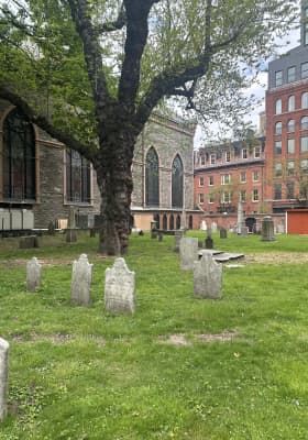 Photo 9 from The Basilica of St Patrick's Old Cathedral