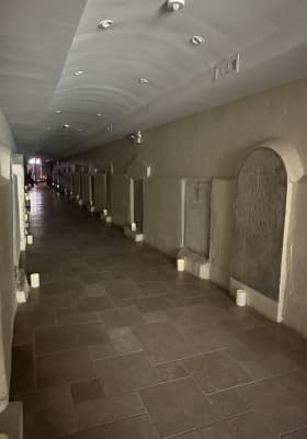 Photo 7 from The Basilica of St Patrick's Old Cathedral