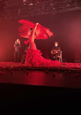 Photo 8 from Salle Jacques Higelin - MPAA Saint-Germain
