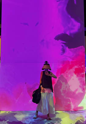 Photo 7 from ArtScience Museum