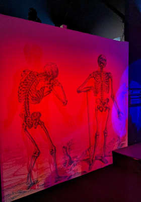 Photo 5 from Science Expériences