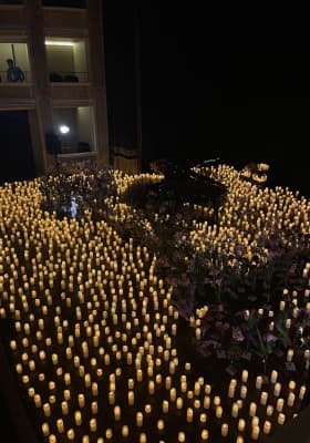 Photo 1 from Teatro Apollo