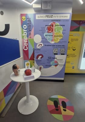 Photo 3 from Museo de la Felicidad MüF