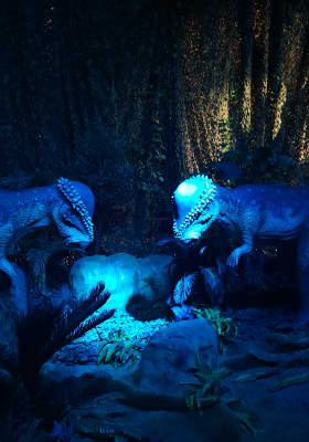 Photo 6 from Exhibition Hub Art Center Chicago