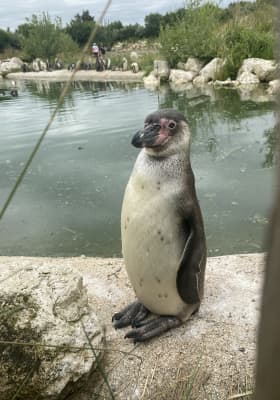 Photo 3 from Parrot World - Le parc animalier immersif