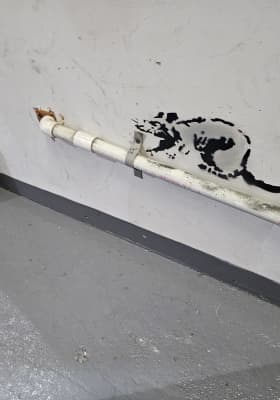 Photo 8 from Banksy Museum NYC
