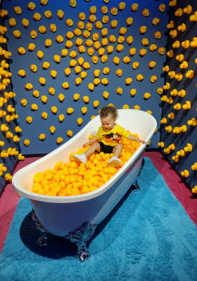 Photo 7 from American Dream