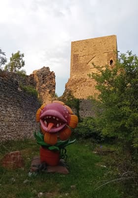Photo 3 from Chateau de Puivert