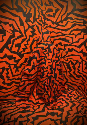 Photo 9 from Paradox Museum London