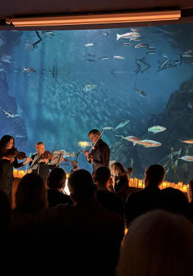 Photo 4 from National Marine Aquarium