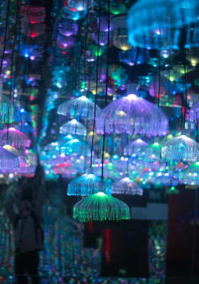 Photo 5 from Metartworld - Art Space
