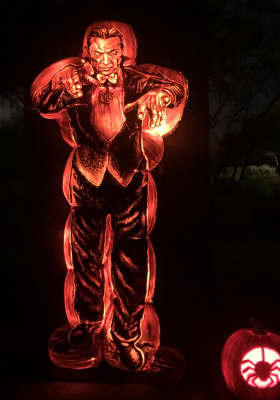 Photo 11 from Rawhide