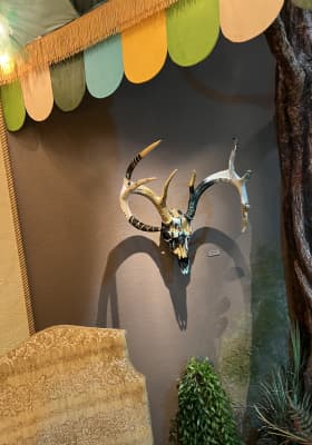 Photo 2 from Museum of Make Believe