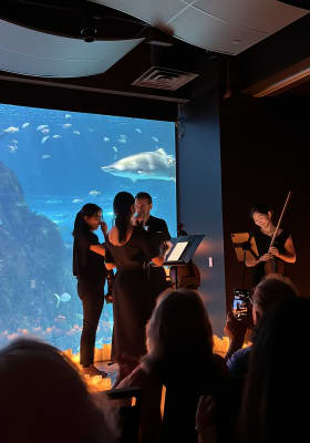Photo 2 from Adventure Aquarium