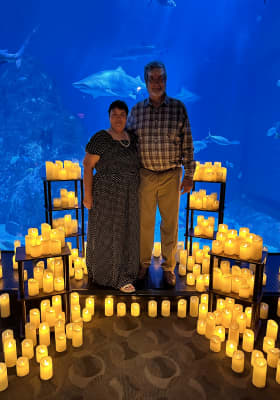 Photo 1 from Adventure Aquarium