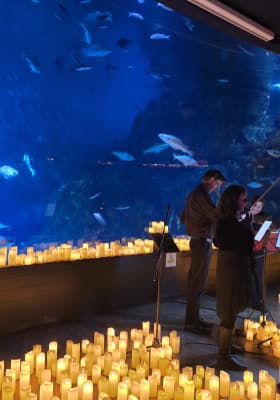 Photo 3 from National Marine Aquarium