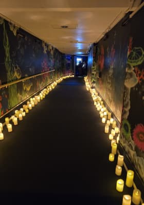 Photo 2 from National Marine Aquarium