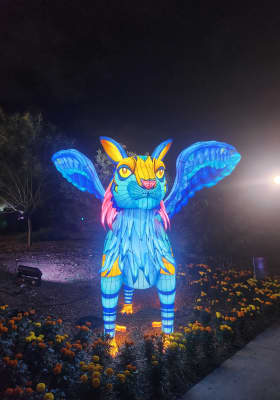 Photo 5 from San Antonio Botanical Gardens