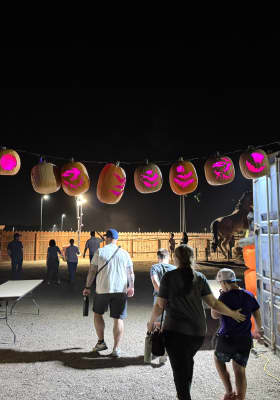Photo 6 from Rawhide