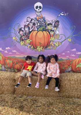 Photo 2 from Mr. Bones Pumpkin Patch