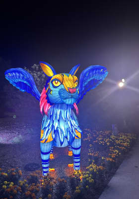 Photo 2 from San Antonio Botanical Gardens