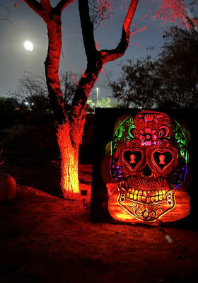 Photo 4 from Rawhide