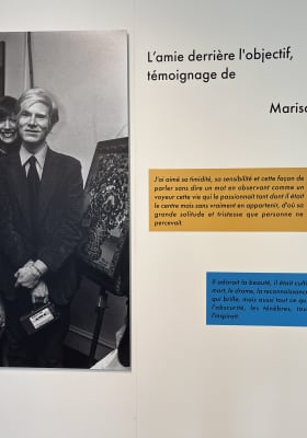 Photo 1 from Les expositions de la Chaufferie de l’Antiquaille - Le Monde selon Andy Warhol