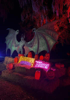 Photo 19 from Harry P Leu Gardens