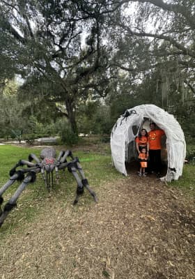 Photo 17 from Harry P Leu Gardens
