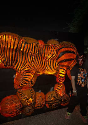 Photo 2 from Rawhide