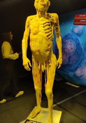 Photo 11 from Plaza Bicentenario