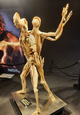 Photo 7 from Plaza Bicentenario