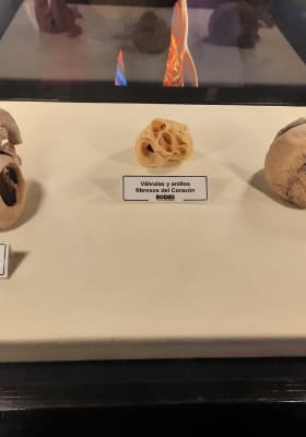 Photo 6 from Plaza Bicentenario