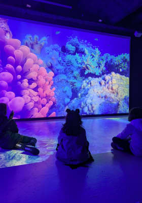 Photo 11 from Science Expériences, Lyon