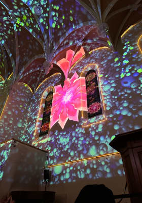 Photo 4 from Temple de Plainpalais