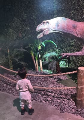 Photo 14 from Monet: The Immersive Experience