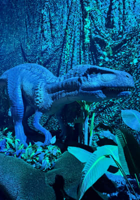 Photo 13 from Monet: The Immersive Experience