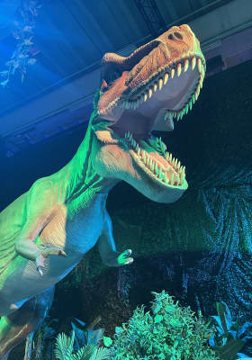 Photo 13 from Dinos Milano