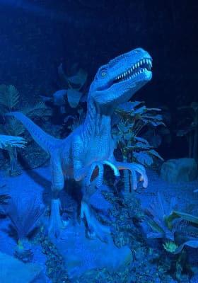 Photo 12 from Dinos Milano