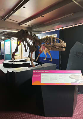Photo 5 from Logan Campbell Centre